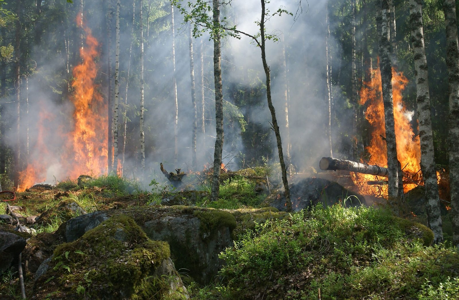 flächenbrand