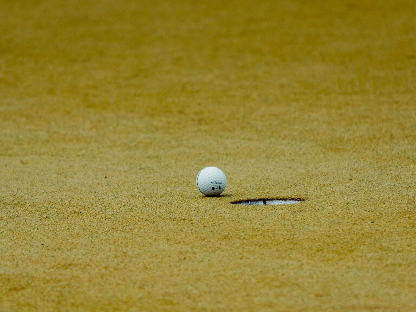the masters leaderboard